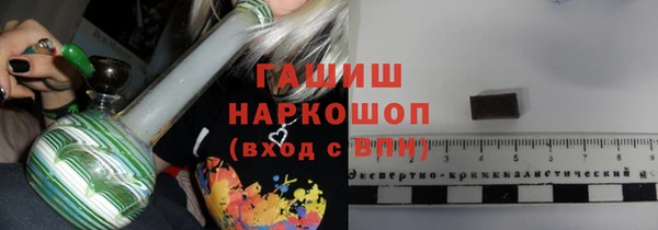 гидра Галич