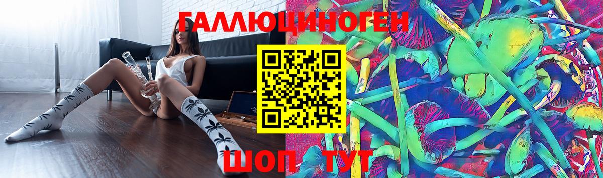 Искитим  Псилоцибиновые грибы ЛСД  Вход с VPN 