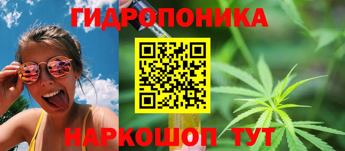 Бошки Шишки VHQ Искитим
